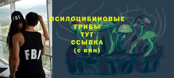 PSILOCYBIN Алексеевка