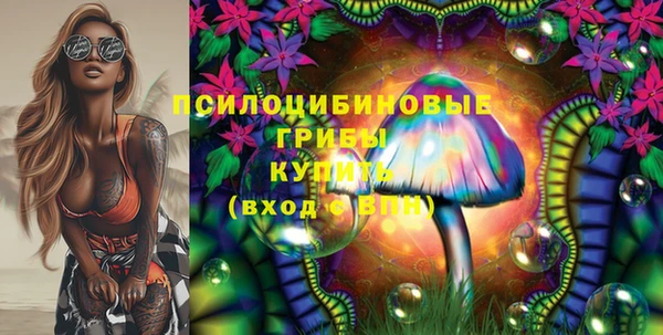 PSILOCYBIN Алексеевка
