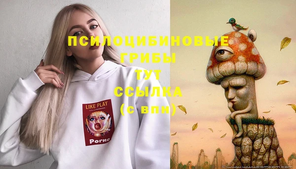 mdpv Абдулино