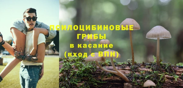 сатива Пересвет