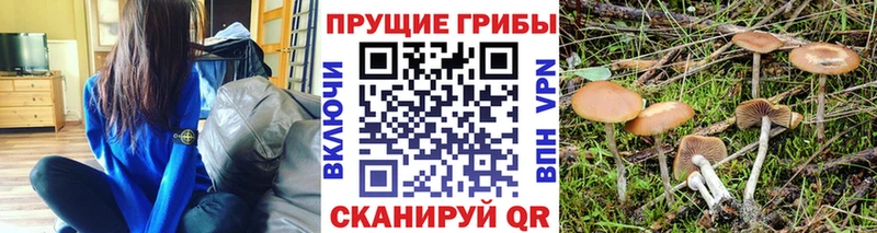 Псилоцибиновые грибы MAGIC MUSHROOMS Ясный